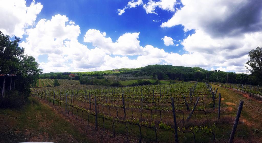 Agriturismo La Cella Villa Arezzo Buitenkant foto