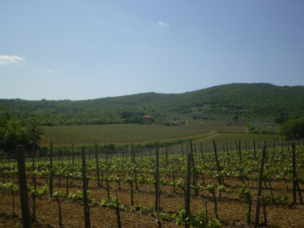 Agriturismo La Cella Villa Arezzo Buitenkant foto